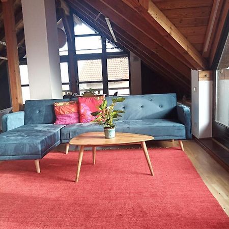 Ferienwohnung Zur Kirschblute Пурбах-ам-Нойзидлер-Зе Экстерьер фото