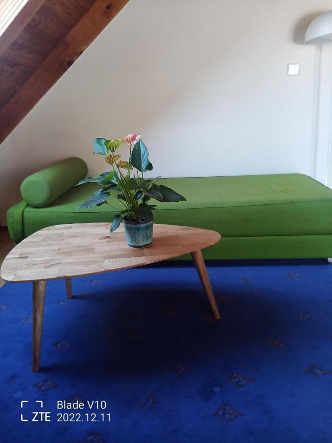 Ferienwohnung Zur Kirschblute Пурбах-ам-Нойзидлер-Зе Экстерьер фото