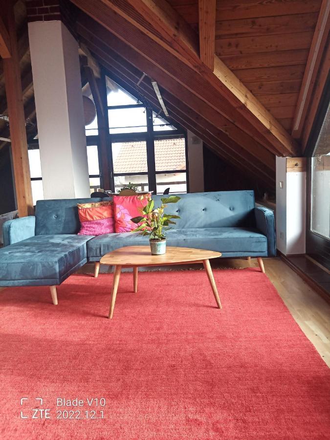 Ferienwohnung Zur Kirschblute Пурбах-ам-Нойзидлер-Зе Экстерьер фото